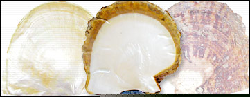 Click photo to enlarge